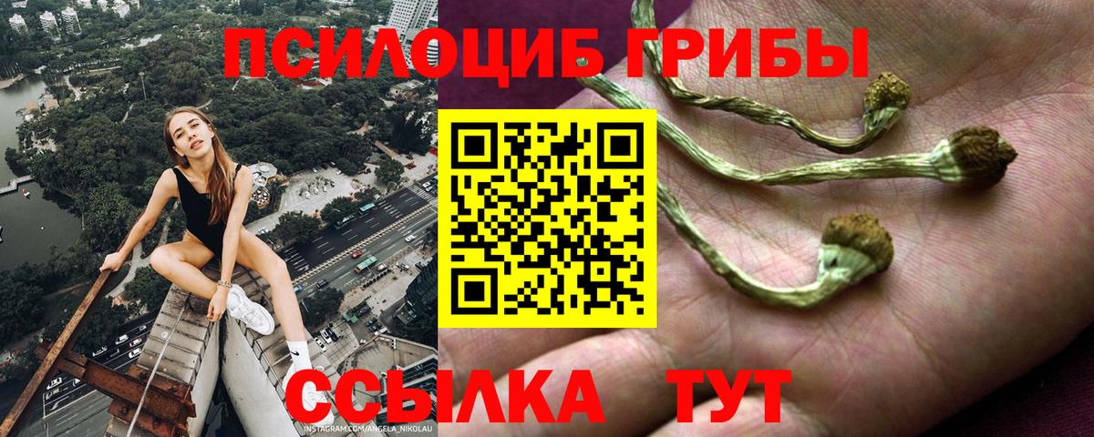 Усолье-Сибирское  Галлюциногенные грибы мицелий  Вход с VPN 